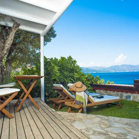 Zeytin, Florya Мармарис