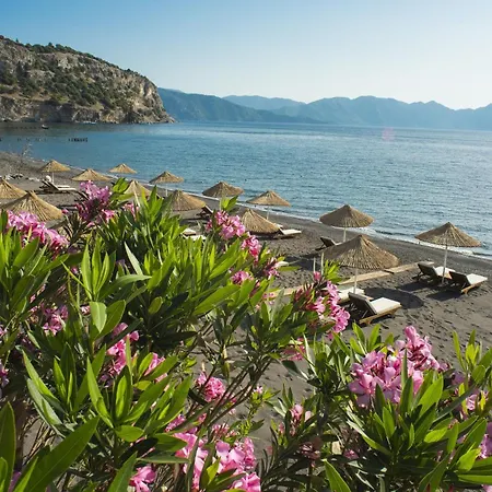 Zeytin, Florya * Мармарис